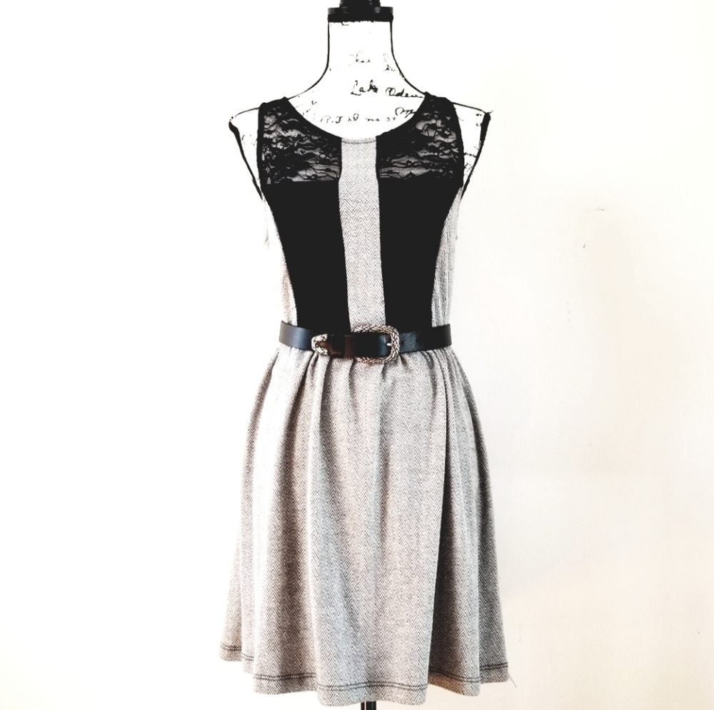 Paper Crane Mini-Chevron Lace Dress